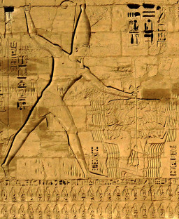 Ramesses III - Dodson